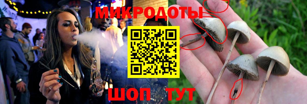Псилоцибиновые грибы прущие грибы Лангепас